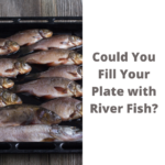 Could You Fill Your Plate with River Fish?