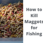 How to Kill Maggots for Fishing: What’s the Best Way to Kill Maggots?