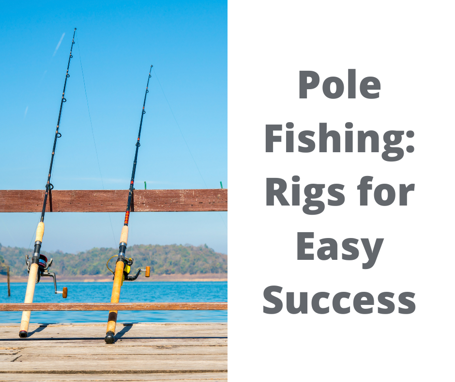 Pole Fishing: Rigs for Easy Success