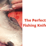 The Perfect Fishing Knife: What to Look for in an All-in-One Seafood Knife